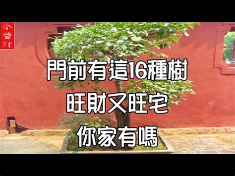 龍眼樹風水|龍眼樹風水解析 – 提升家居風水能量的方法【龍眼樹 風水】 – 八。